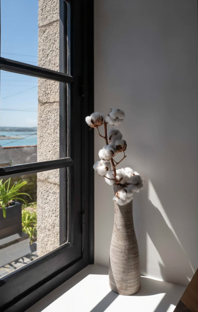 Vase avec fleurs de coton, et une vue sur la mer